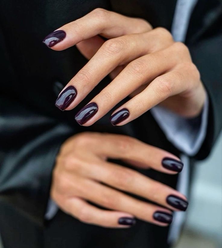 Winter Darks