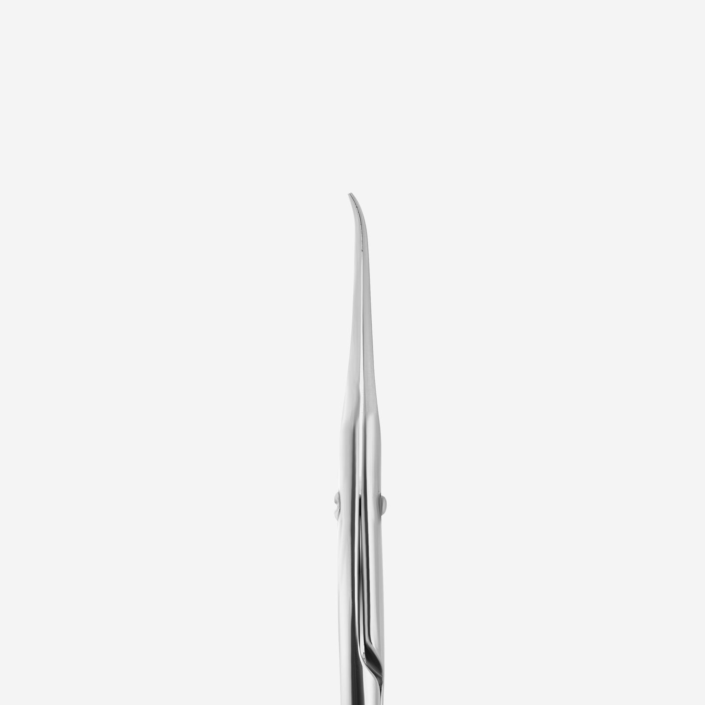 Professional cuticle scissors with hook STALEKS EXCLUSIVE 21 TYPE 1 (magnolia)