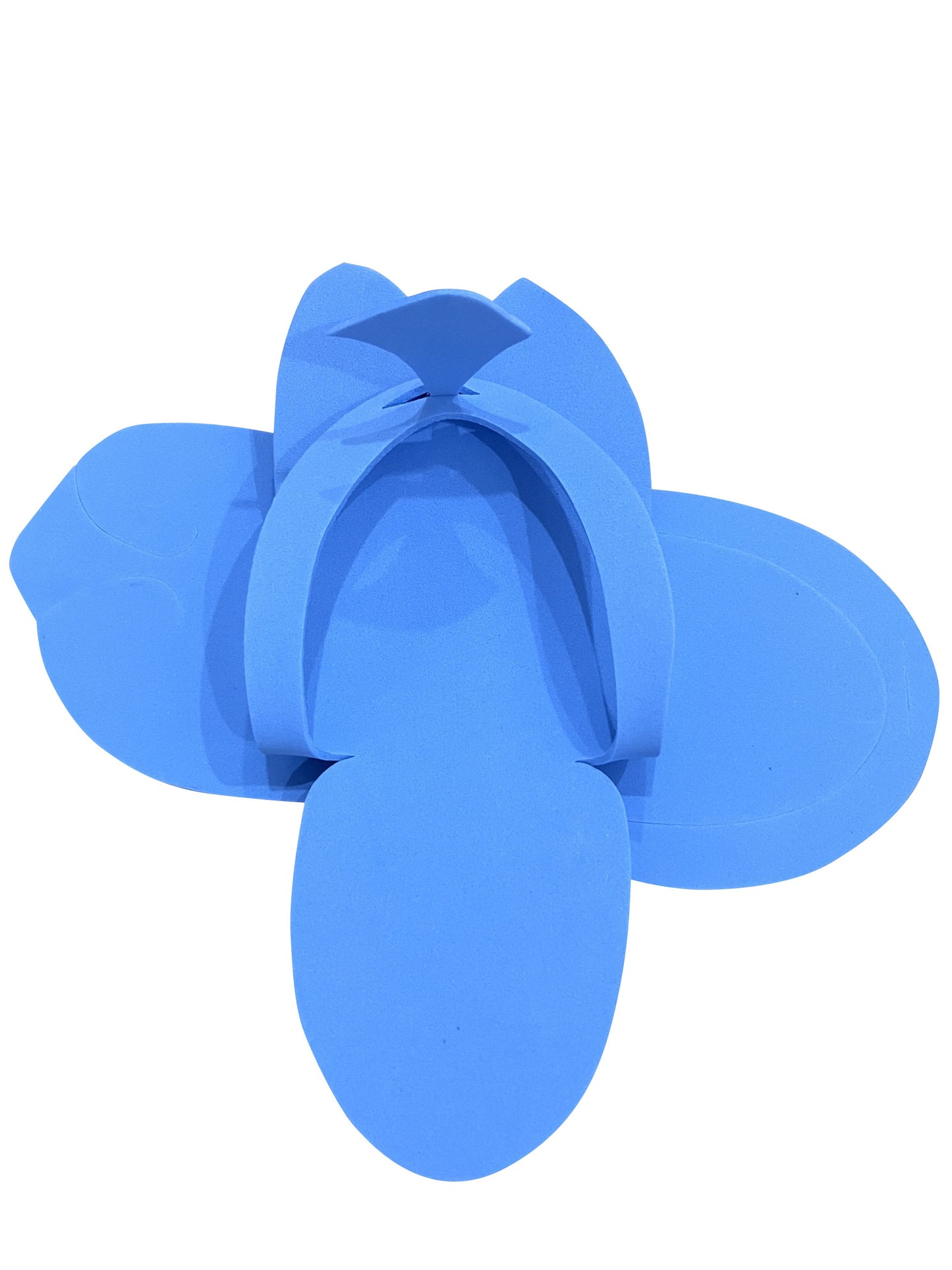 Foam Pedicure Slipper - Foldable (Bag of 12pairs) - Pink or Blue