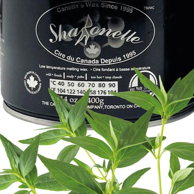 SHARONELLE NATURAL DEPILATORY WAX (14OZ/397G) - TEA TREE